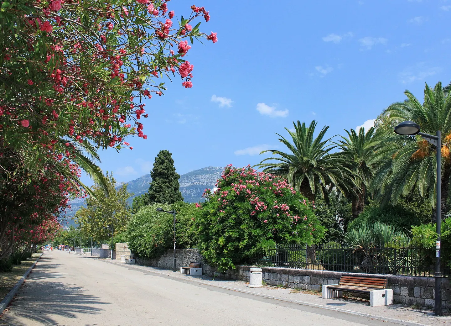 Palm-lined promenade beside the sea in Bar town