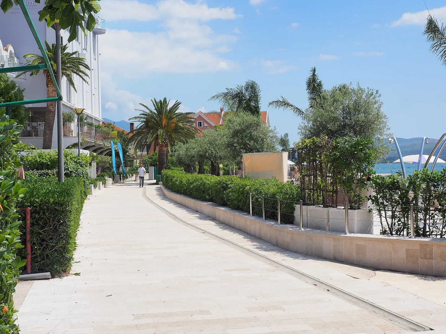Promenade und Palmen in Tivat