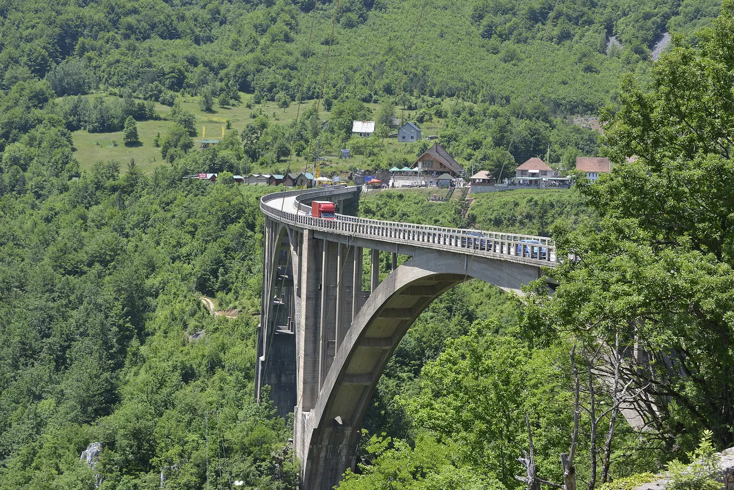 Đurđevića-Tara-Brücke über die grüne Schlucht